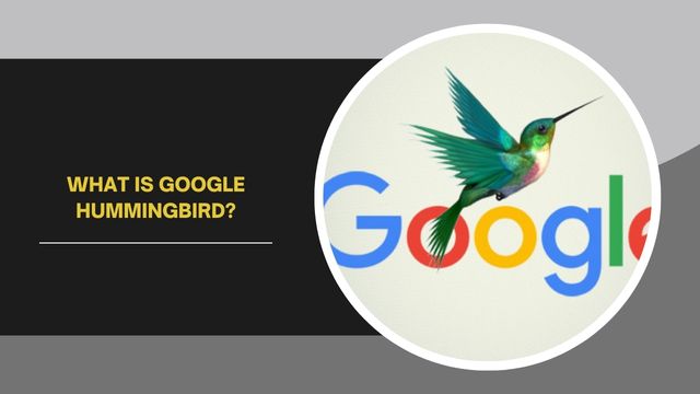 Google Hummingbird Algorithms
